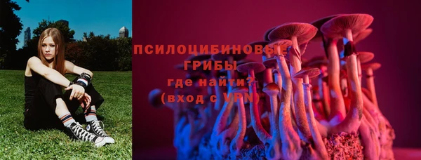 2c-b Кодинск